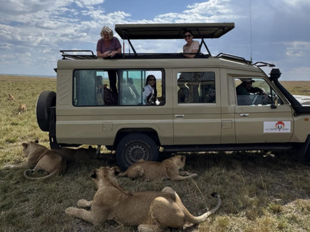 Pop-up-roof safari Land Cruiser beside resting lions in the Serengeti